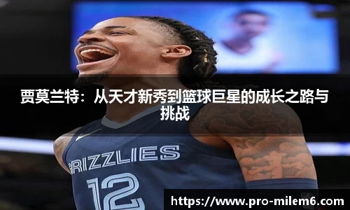 米乐m6官方网站