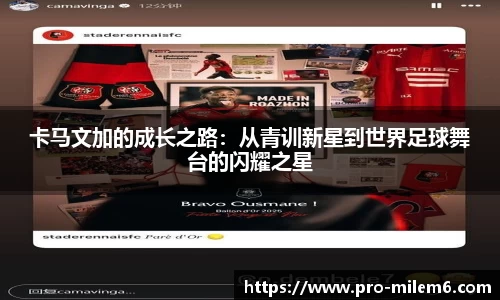 米乐m6官网